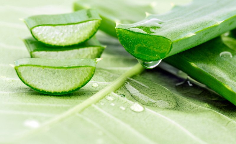 gel aloe vera benefici