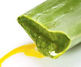 aloe vera senza aloina esi