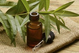 tea tree oil