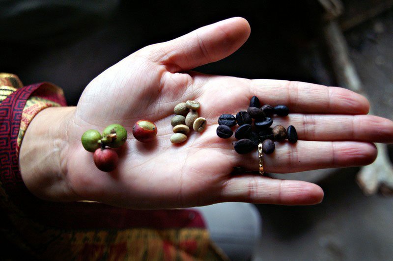 caffè benefici pro contro salute