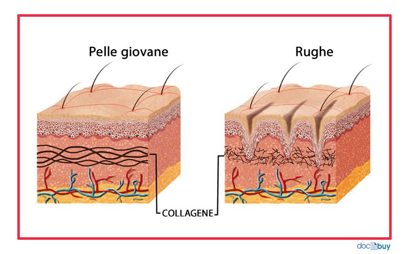 prodotti-antirughe-collagene