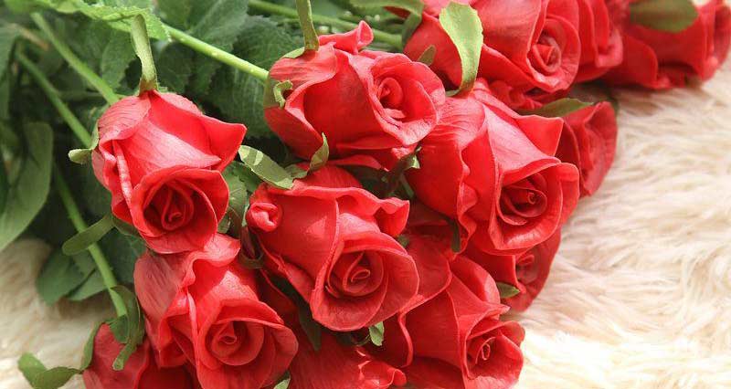 comprare fiori online - rose rosse cover